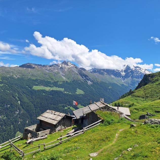 cabane-d-essertse-plan-large-ete-2024_COVER